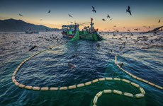  Lutte contre la pêche INN: tout a été mis en oeuvre pour faire retirer le «carton jaune» de la CE