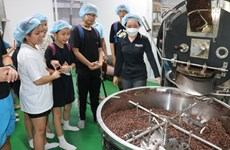 Déguster le chocolat authentique vietnamien