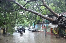 Moins de tempêtes frapperont le Vietnam cette année