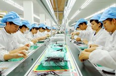 Da Nang souhaite attirer des investissements dans les hautes technologies