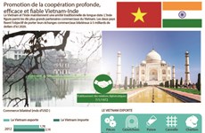 Promotion de la coopération profonde, fiable et efficace Vietnam-Inde