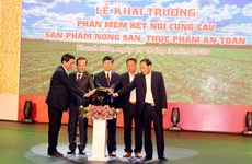 Thanh Hoa met en ligne un site web pour la sécurité sanitaire des aliments 
