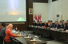 Ho Chi Minh-Ville intensifie sa coopération avec l’Indonésie
