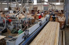 Binh Duong occupe la première place nationale en termes d’exportations de bois
