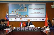 Webinaire sur la coopération Vietnam-Slovénie dans la mécanique