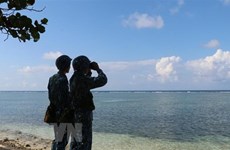 Mer Orientale : la position du Vietnam sur le règlement des différends est claire et constante