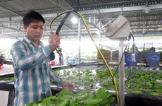 Les exportations de fruits et légumes pendant les quatre premiers mois en hausse de 9,5%
