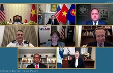 Séminaire virtuel sur le traitement des conséquences de la guerre au Vietnam