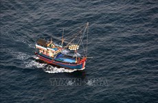 Lutte contre la pêche INN :  les violations sévèrement sanctionnées