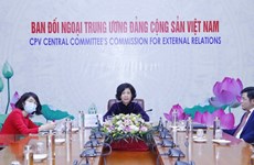 Conférence en ligne sur les relations Vietnam-Russie