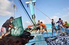 Le Vietnam veut développer une pêche durable et responsable 