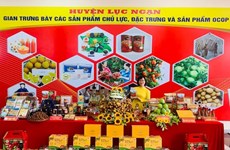 Bac Giang promeut la vente de litchis dans le pays et à l’étranger 