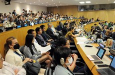 Le Vietnam participe à la 5e session de négociation de la Conférence “BBNJ"