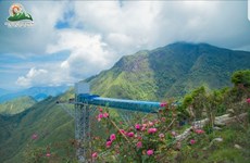 Le pont en verre de Rông Mây à Lai Châu