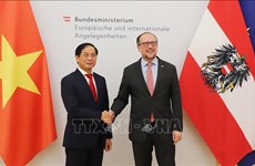 L'Autriche a grand intérêt à renforcer ses liens économiques avec le Vietnam