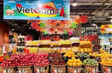 Promouvoir la diplomatie économique pour renforcer la coopération Vietnam-Thaïlande