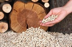 Les exportations de granulés de bois pourraient atteindre 1 milliard de dollars cette année 