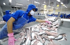 Pangasius vietnamien: la Chine conserve son statut de premier importateur