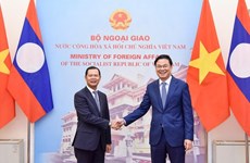 Consultation politique Vietnam-Laos