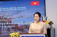 Renforcement de la diplomatie populaire Vietnam-Thaïlande