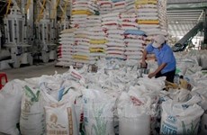 De nombreux signes positifs pour les exportations de riz en 2023