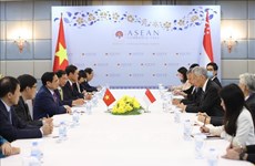 Un expert singapourien souligne l’importance de la prochaine visite du PM Pham Minh Chinh