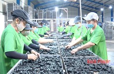 Croissance économique: Binh Phuoc au premier rang de la région du Sud-Est