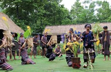 Hanoï : Diverses activités prévues en août au Village de la culture et du tourisme des ethnies