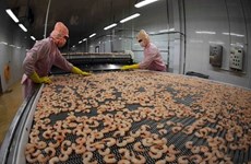 La transformation en profondeur augmente la compétitivité des crevettes vietnamiennes