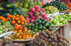 Fruits et légumes : les exportations atteignent 836 millions de dollars en trois mois