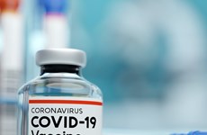 L'Indonésie coopère avec d’autres pays dans la recherche de vaccins contre le COVID-19