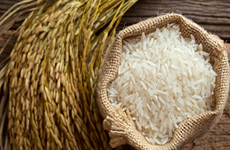 Le riz exporté vietnamien est désormais plus cher que celui de la Thaïlande