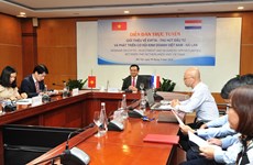 EVFTA: opportunité de coopération commerciale Vietnam-Pays-Bas
