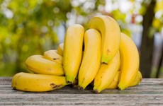 Les Philippines risquent de perdre dans la guerre d'exportation de bananes