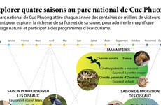 Explorer quatre saisons au parc national de Cuc Phuong