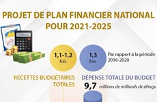 Projet de plan financier national pour 2021-2025