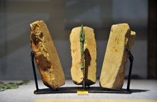 La collection de moules de flèches en pierre de Co Loa reconnue "Trésor national"