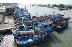 Ben Tre renforce la gestion des navires de pêche pour lutter contre la pêche INN