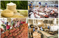 Agroalimentaire : prochainement un webinaire Vietnam-Japon