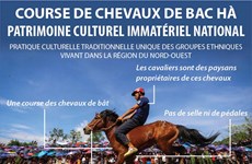 Course de chevaux de Bac Hà: Patrimoine culturel immatériel national 