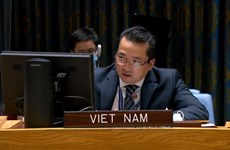 ONU : le Vietnam affirme son soutien à la fin de la présence des soldats étrangers en Libye