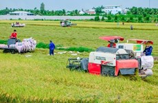 Aide australienne dans le développement agricole au Vietnam