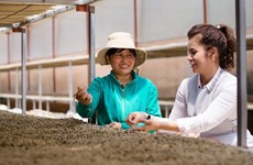 King Coffee annonce un projet de coopération avec des fournisseurs agricoles vietnamiens