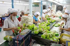 Les exportations de produits agro-sylvicoles en hausse de 21,6% en huit mois