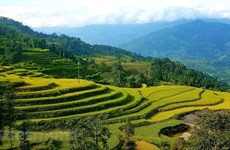 Explorer les rizières en terrasse de Hoang Su Phi