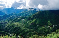 Aide américaine pour la gestion forestière et la conservation de la biodiversité à Lao Cai