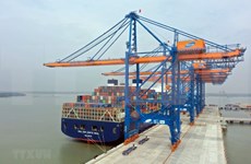 Dix mois: hausse de 30% des arrivées de navires étrangers dans les ports maritimes vietnamiens