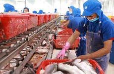Canada - un marché potentiel pour les produits aquatiques vietnamiens