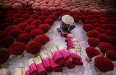 Le village d'encens de Quang Phu Câu retrouve ses couleurs