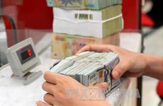 Têt: croissance des envois de devises étrangères des Viêt kiêu